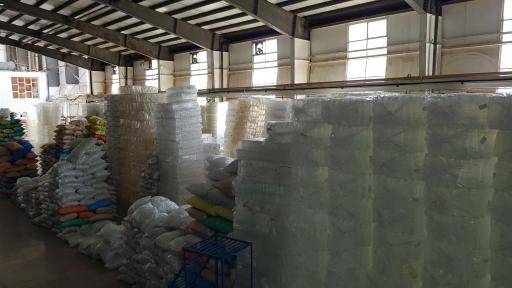 عکس صدرا پت