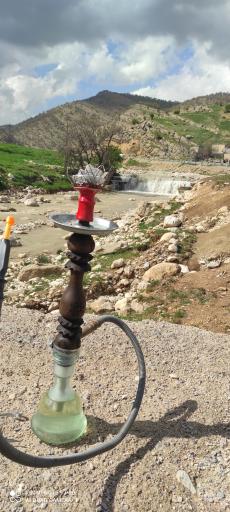 عکس چمن گلی