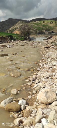 عکس چمن گلی