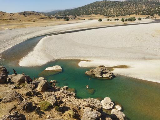 عکس چمن گلی