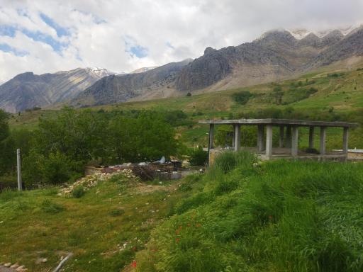 عکس چمن گلی