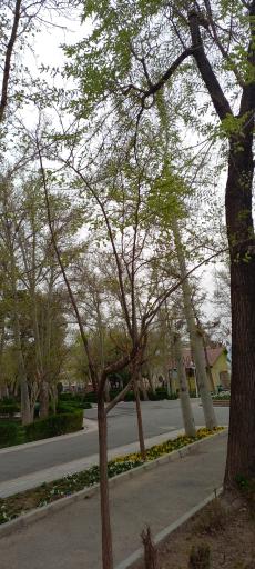 عکس پارک زمزم