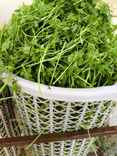 عکس سبزیجات آماده قلب سبز 