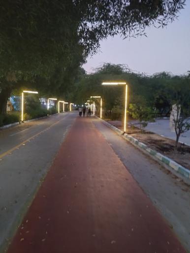 عکس بوستان جنگلی خلیج فارس