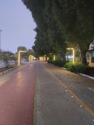 عکس بوستان جنگلی خلیج فارس