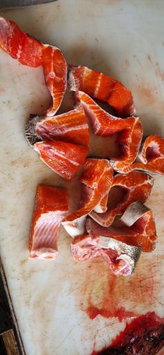 عکس پرورش ماهی قزل آلای رنگین کمان داننده