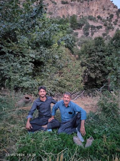 بوستان جنگلی خلیج فارس