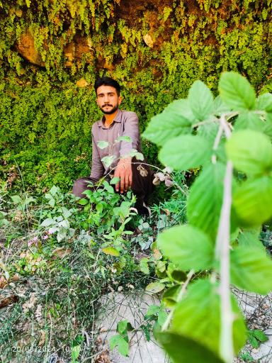 عکس بوستان جنگلی خلیج فارس