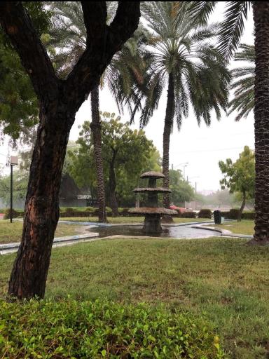 عکس بوستان جنگلی خلیج فارس