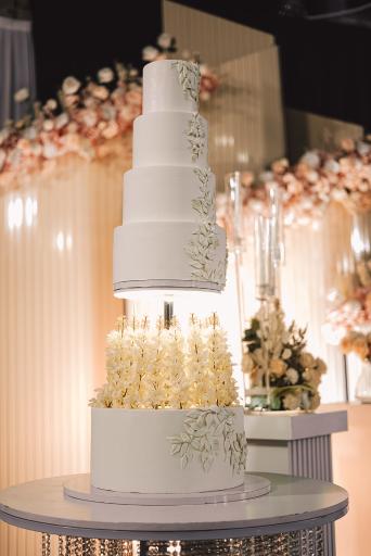 عکس فادی کیک