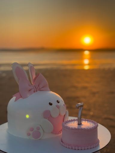 عکس فادی کیک