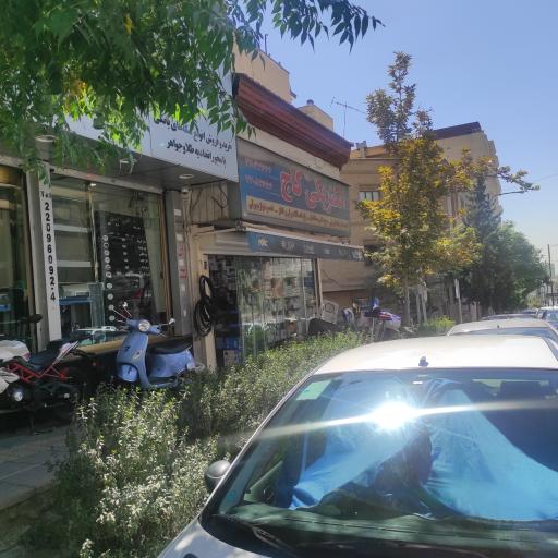 عکس الکتریکی کاج