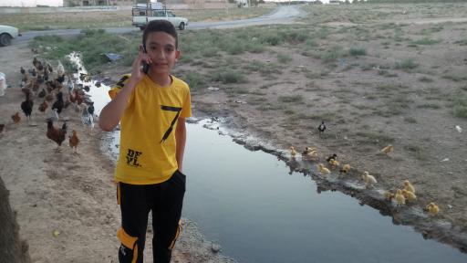 عکس کاشانک