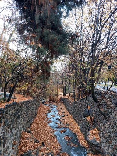 عکس مجموعه فرهنگی تا‌‌‌‌ریخی کاخ سعدآباد