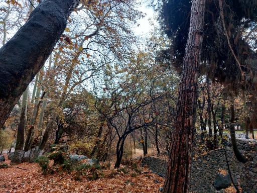 عکس مجموعه فرهنگی تا‌‌‌‌ریخی کاخ سعدآباد