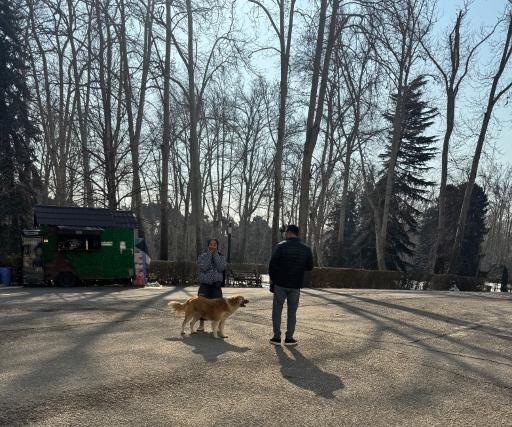 عکس مجموعه فرهنگی تا‌‌‌‌ریخی کاخ سعدآباد