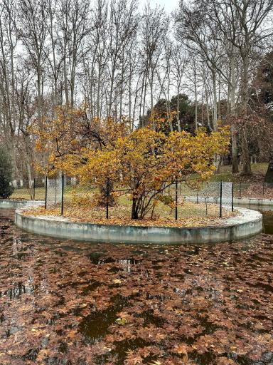 عکس مجموعه فرهنگی تا‌‌‌‌ریخی کاخ سعدآباد