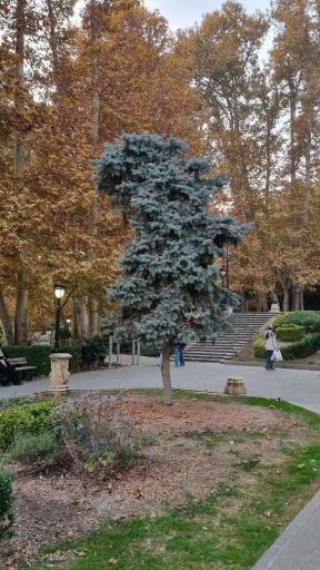 عکس مجموعه فرهنگی تا‌‌‌‌ریخی کاخ سعدآباد