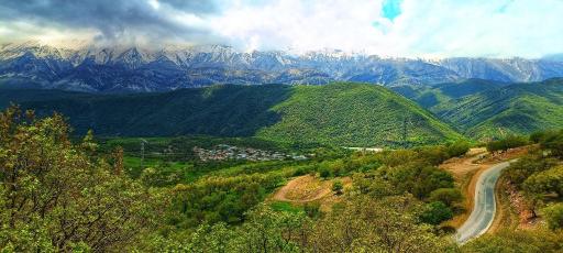 عکس چمن گلی