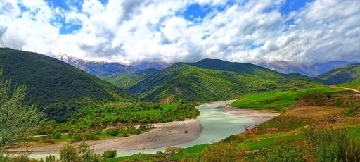 عکس چمن گلی