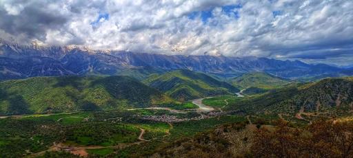 عکس چمن گلی