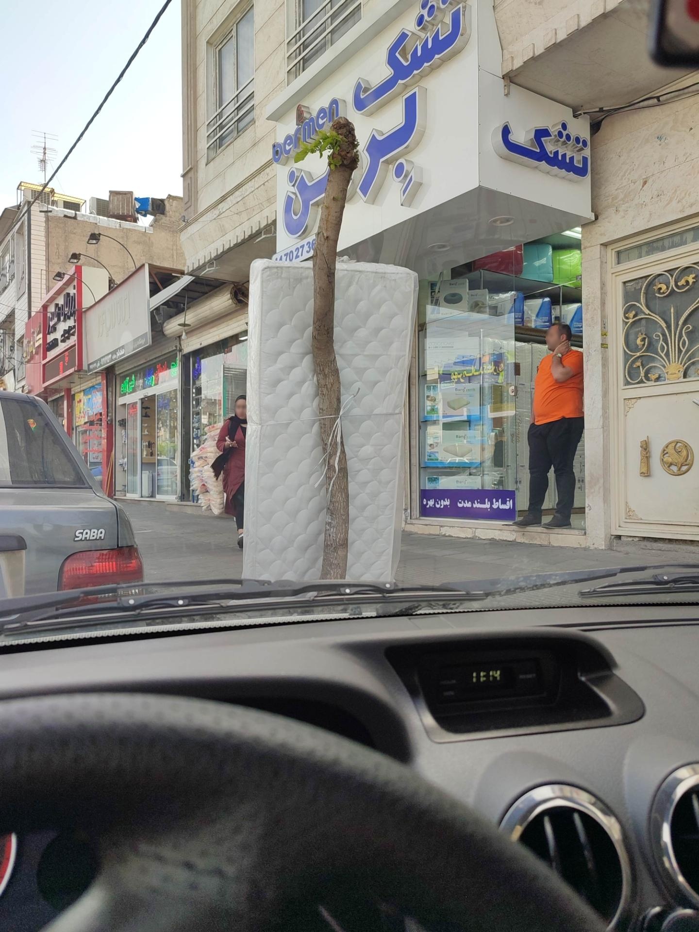 عکس تشک برمن