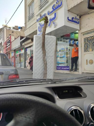 عکس تشک برمن