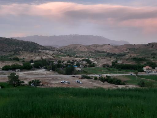 عکس چمن گلی