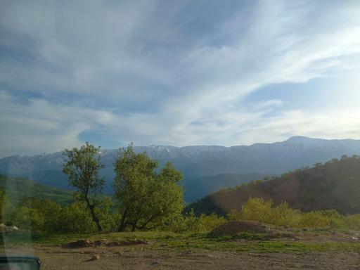 عکس چمن گلی