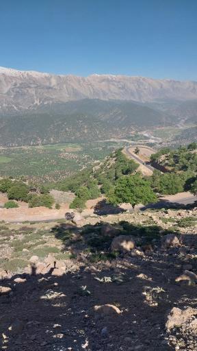 عکس چمن گلی