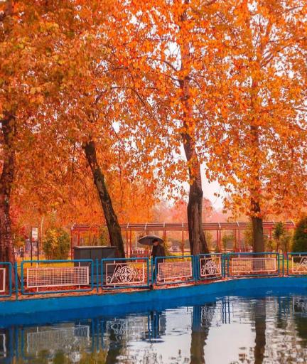 عکس باغ محتشم (پارک شهر)