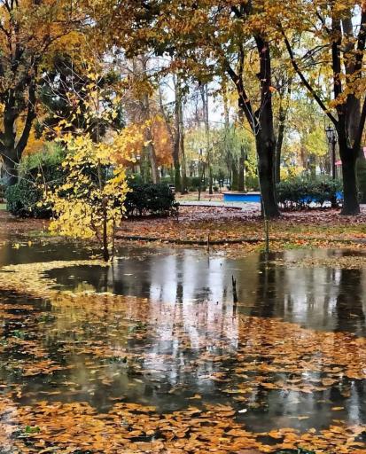 عکس باغ محتشم (پارک شهر)