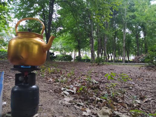 عکس باغ محتشم (پارک شهر)