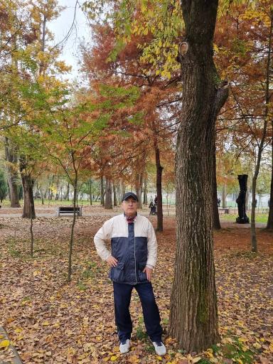 عکس باغ محتشم (پارک شهر)