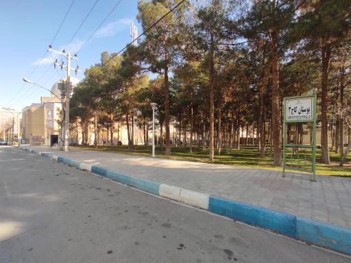 عکس بوستان کاج 3