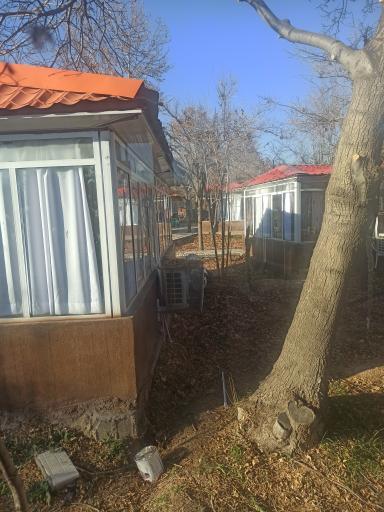 عکس باغ گل نرگس