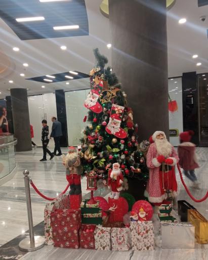 عکس پرند مال