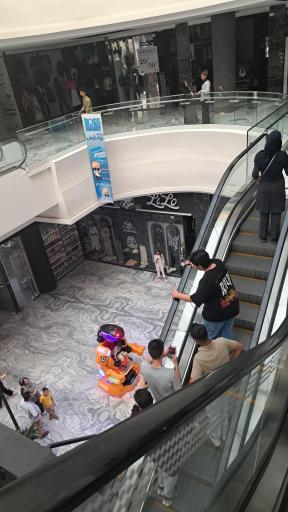 عکس پرند مال