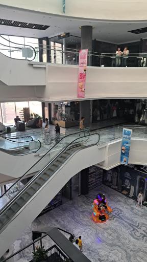 عکس پرند مال