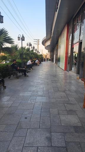 عکس پرند مال