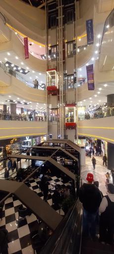 عکس پرند مال