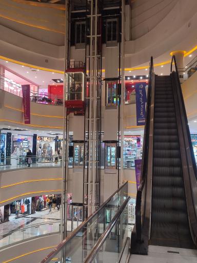 عکس پرند مال