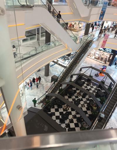 عکس پرند مال