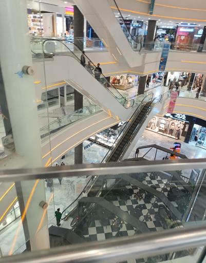 عکس پرند مال