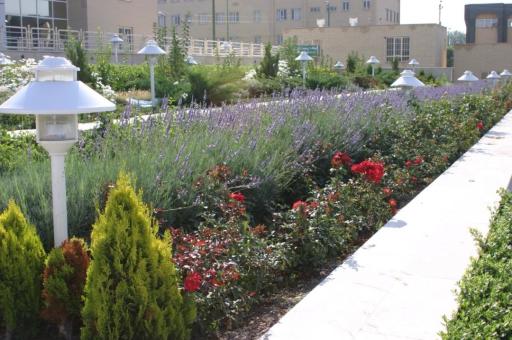 عکس نهالستان پرسیکا گاردن