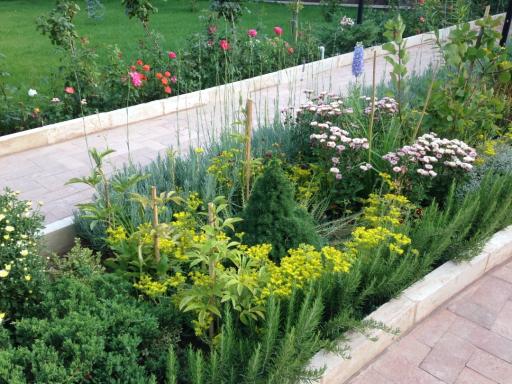 عکس نهالستان پرسیکا گاردن