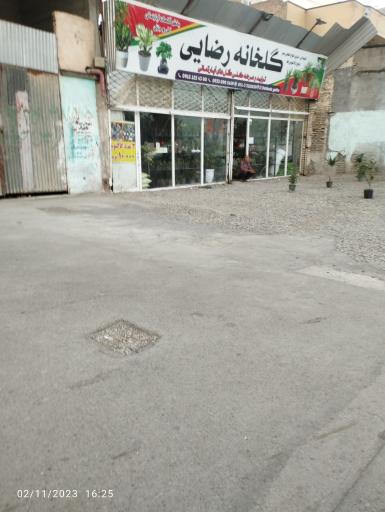 عکس گلخانه رضایی 