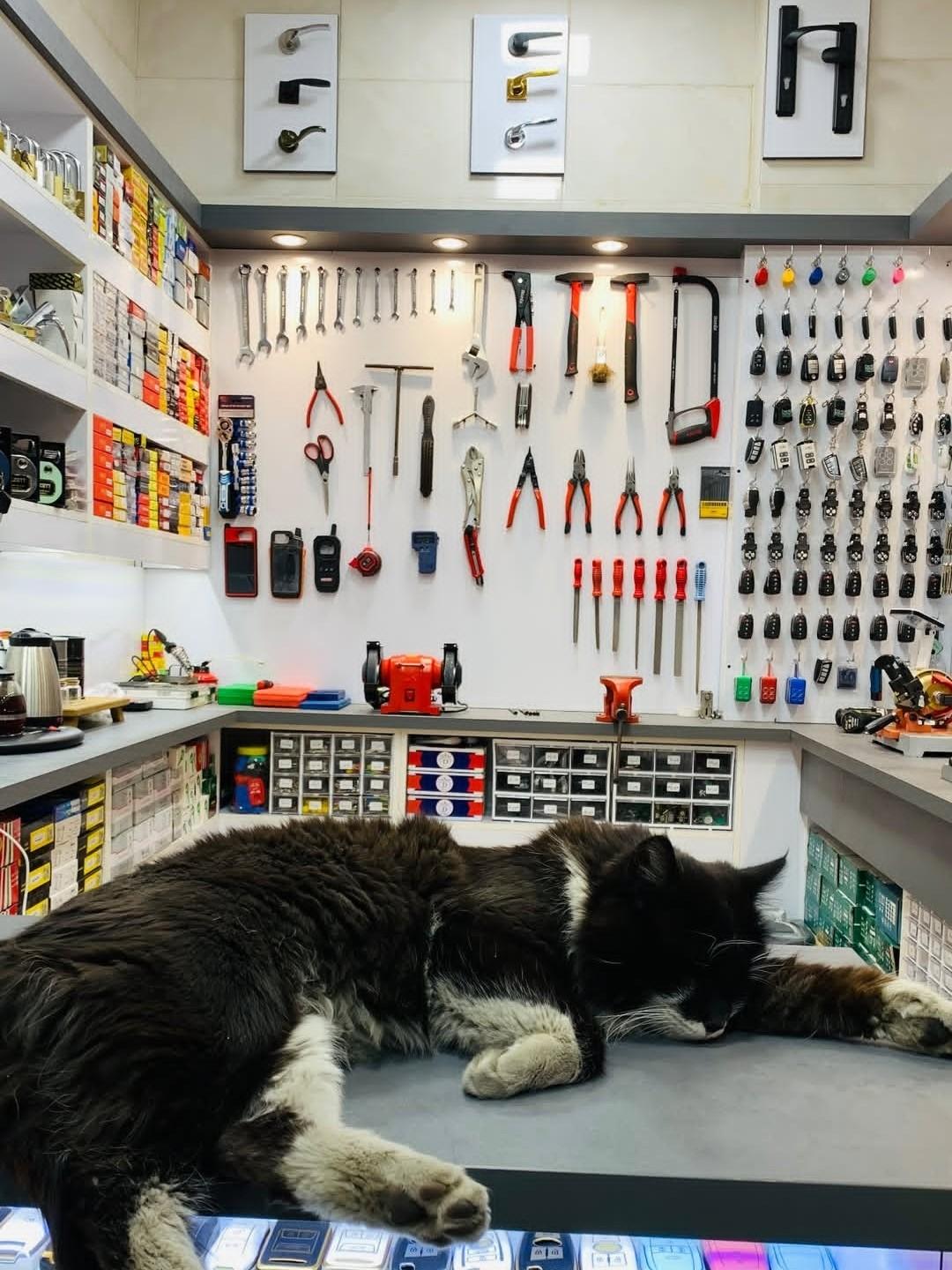 عکس کلیدسازی