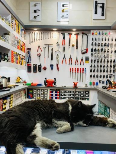 عکس کلیدسازی