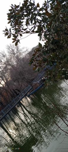 استخر پارک رسالت